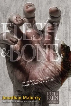 Published cover of Flesh & Bone