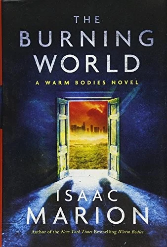 Published cover of The Burning World