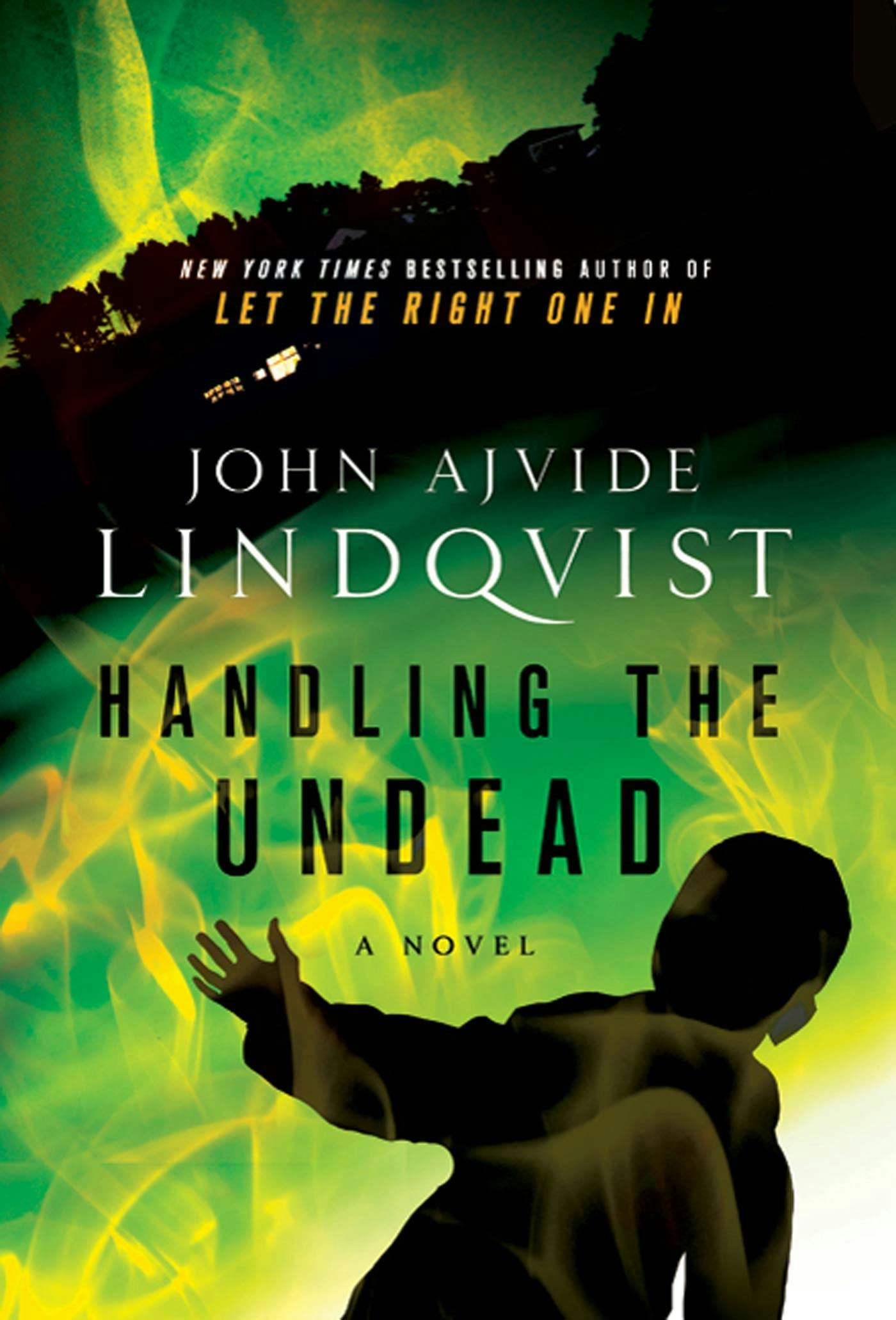 Published cover of Handling the Undead