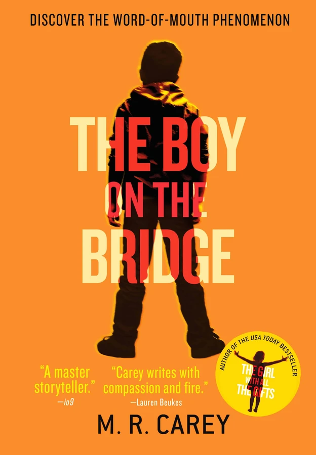 Published cover of The Boy on the Bridge